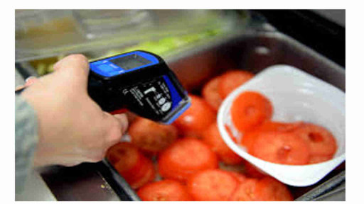 application of zeroth law of thermodynamics in which man is measuring the temperature of food using a temperature gun or infrared thermometer in food preservation