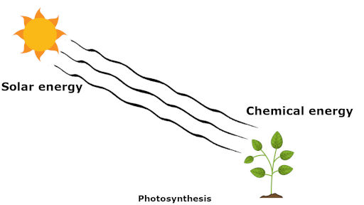 photosynthesis as an example of first law of thermodynamics in which solar energy is converted into chemical energy