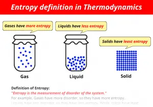 entropy definition biology